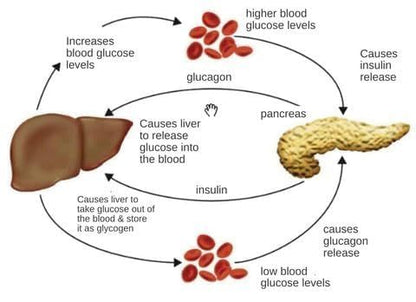 Sugar Control Li4 Acupressure Point Clip Wearable